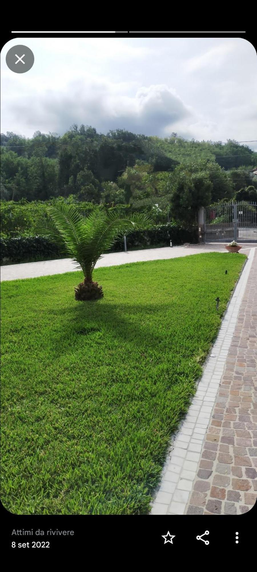 Bed and Breakfast Al Boschetto Melizzano Экстерьер фото