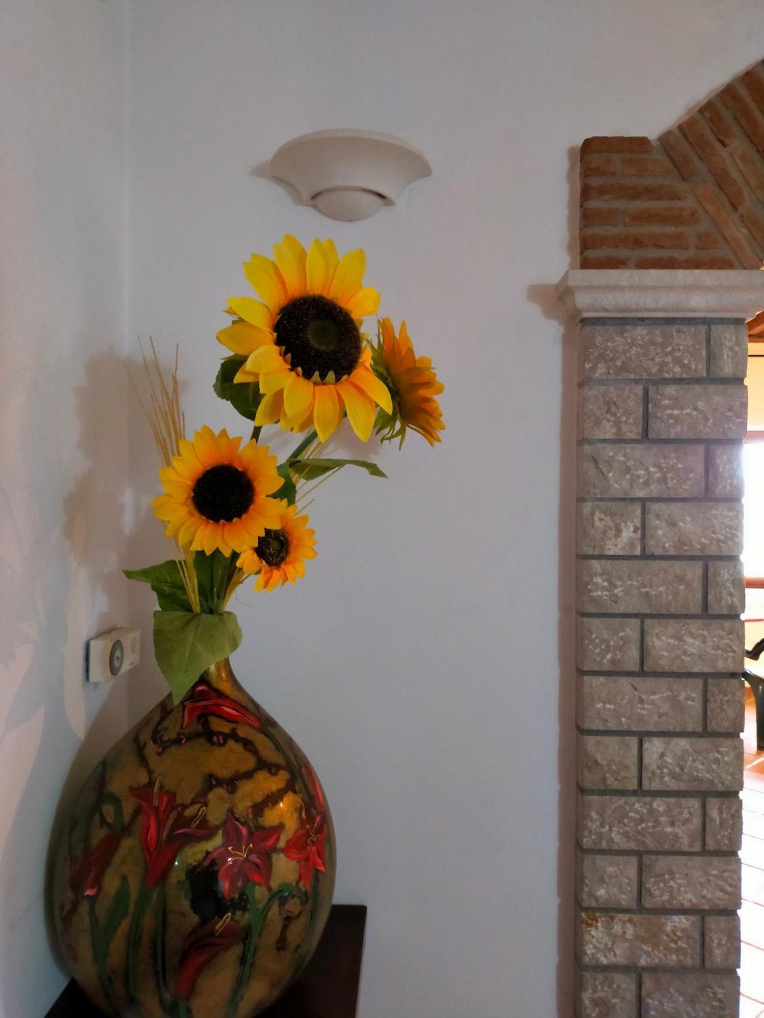 Bed and Breakfast Al Boschetto Melizzano Экстерьер фото