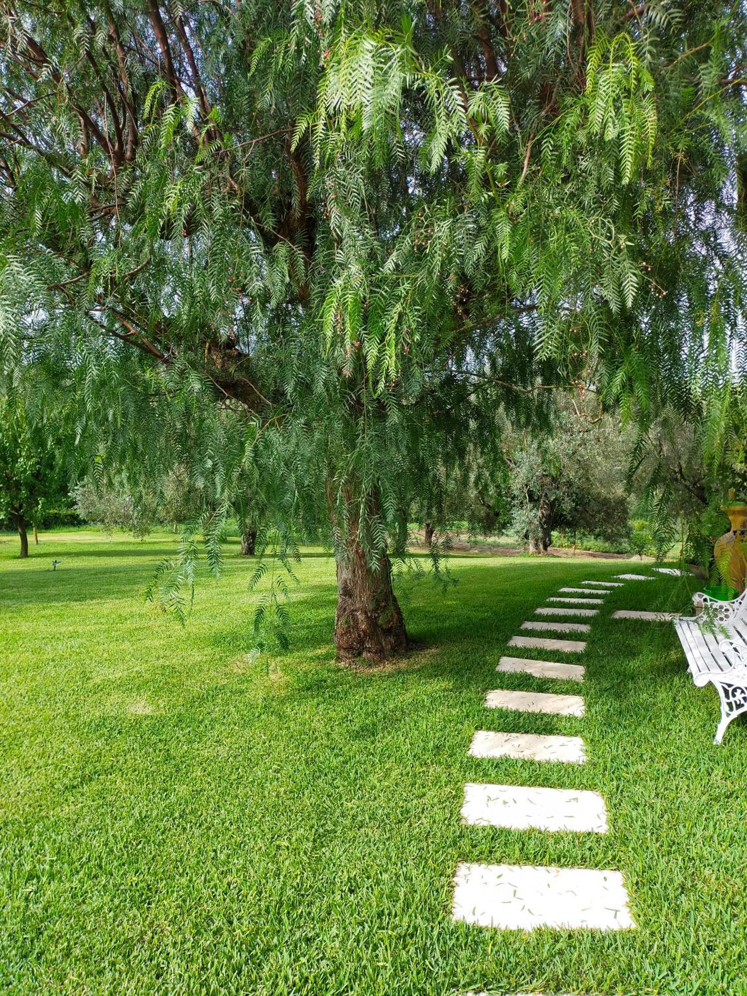 Bed and Breakfast Al Boschetto Melizzano Экстерьер фото