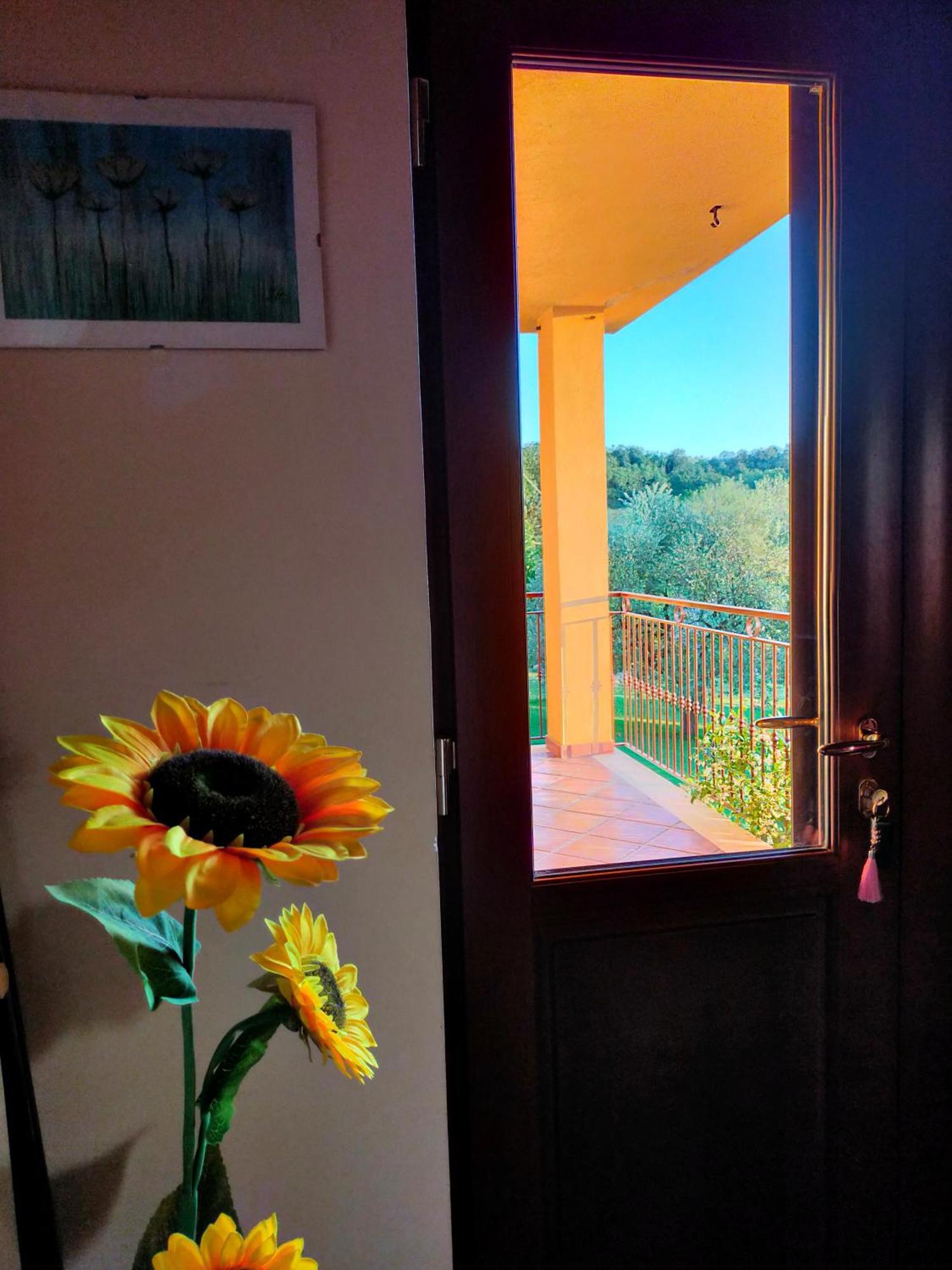 Bed and Breakfast Al Boschetto Melizzano Экстерьер фото